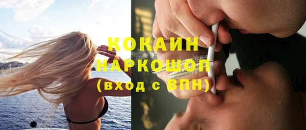 крисы Абаза