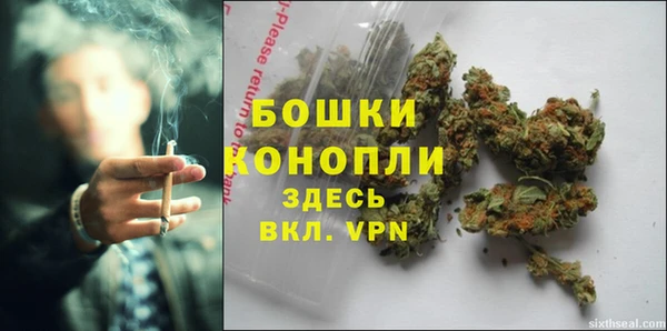 прущие грибы Абдулино