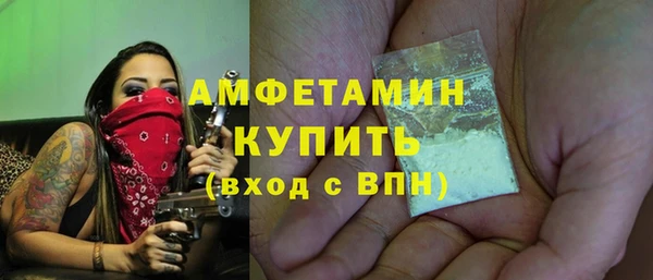 крисы Абаза