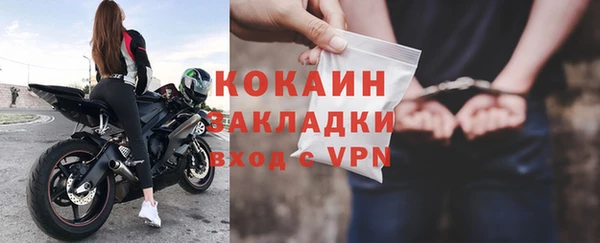 крисы Абаза