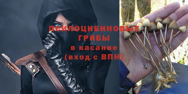 дмт Алексин