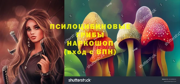 дмт Алексин