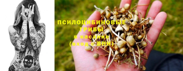 ешки Алексеевка