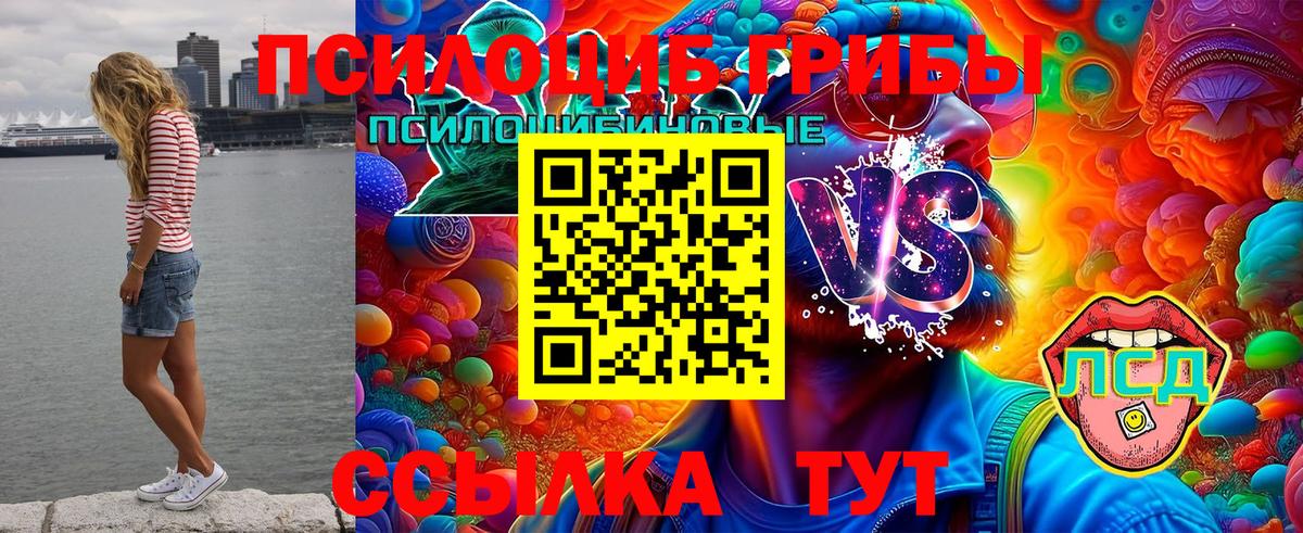 Новокузнецк  Псилоцибиновые грибы GOLDEN TEACHER  Вход с VPN 